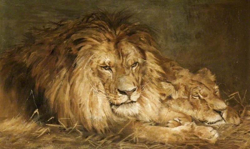 Repose Lion And Lioness Art Uk