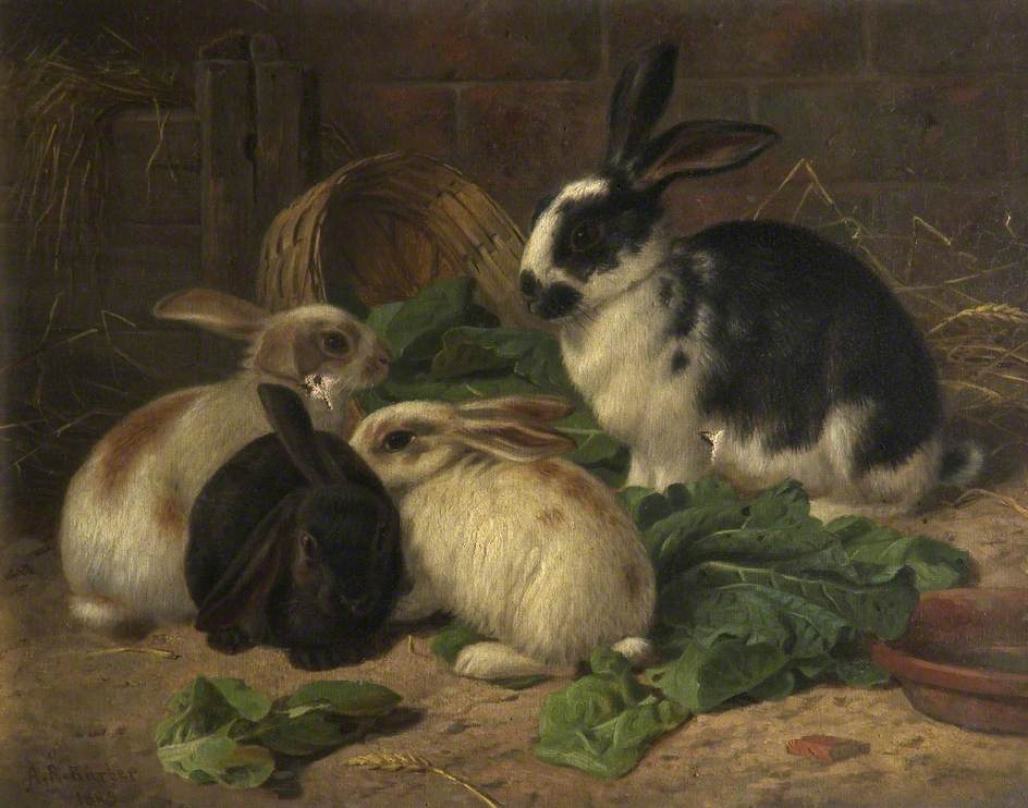 Four Rabbits