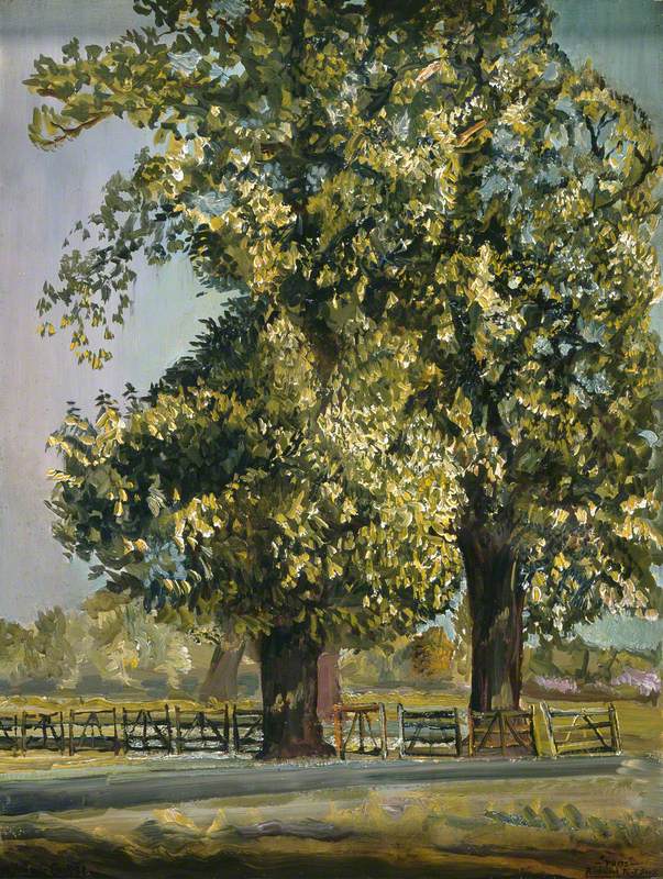 Trees, Richmond Park, Surrey