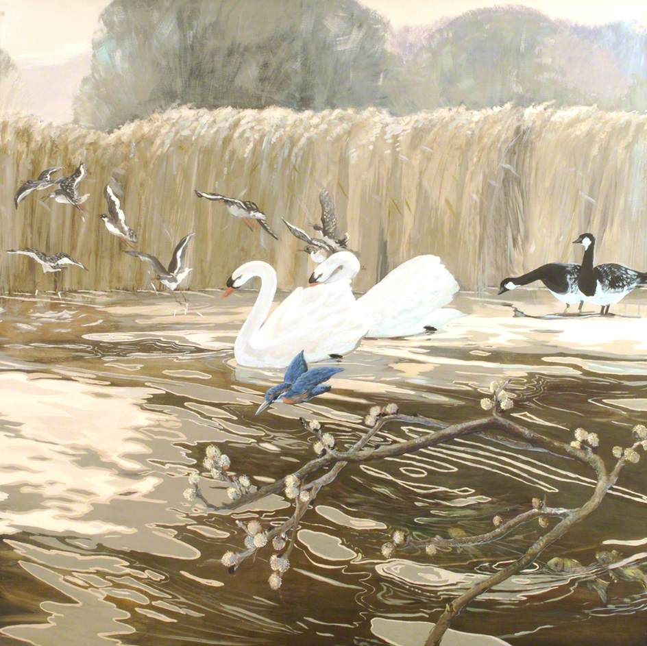 Swans and Kingfisher
