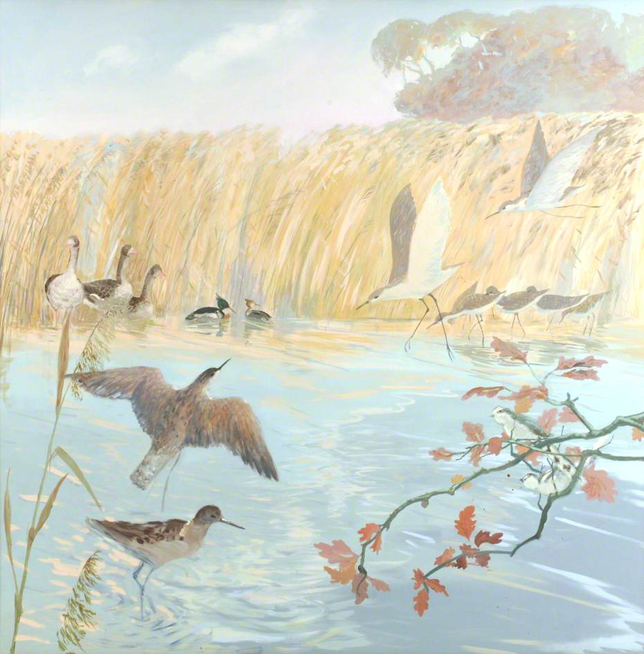 Curlews and Tufted Ducks