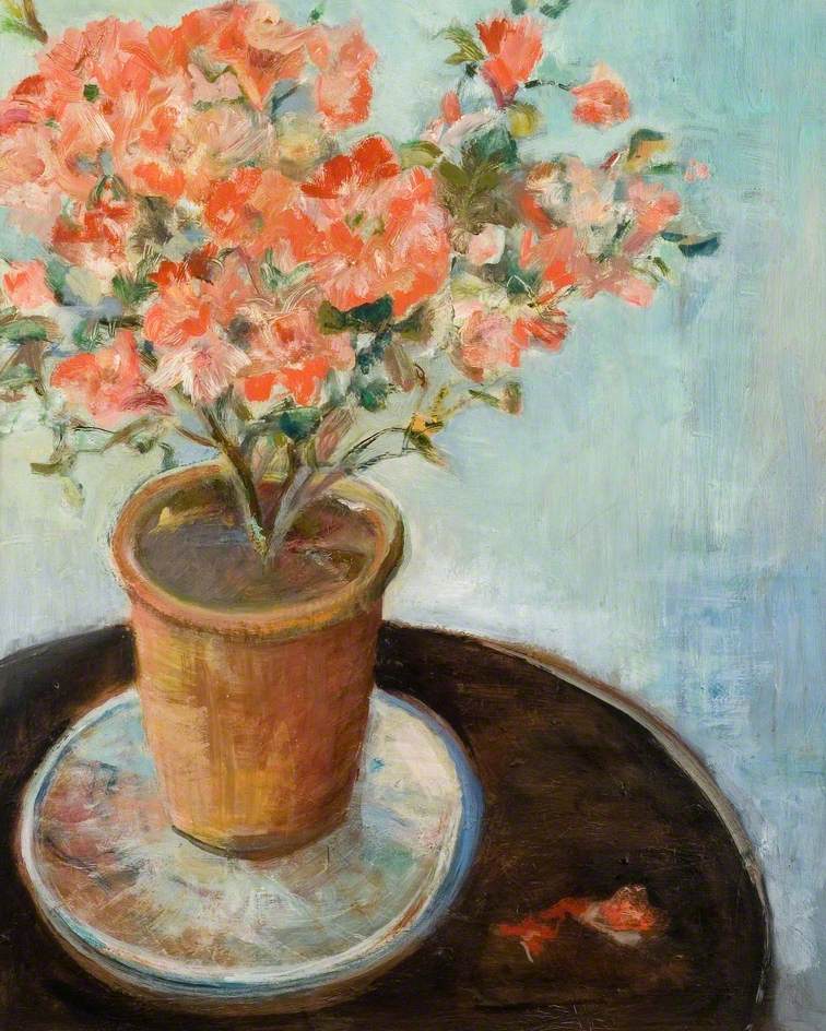 Red Flowers in a Terracotta Pot
