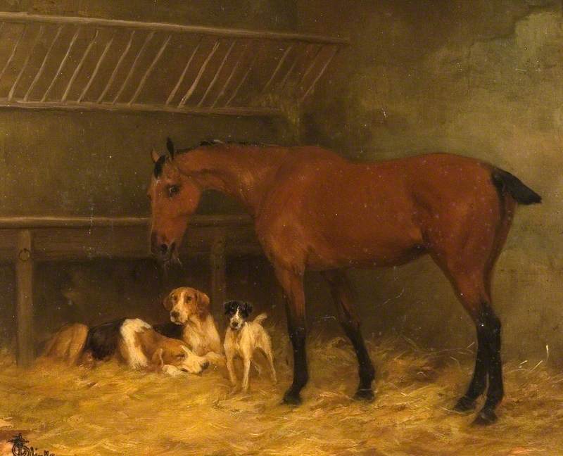 Little Bay Mare with Docked Tail Eating Hay with Three Dogs at Her Feet