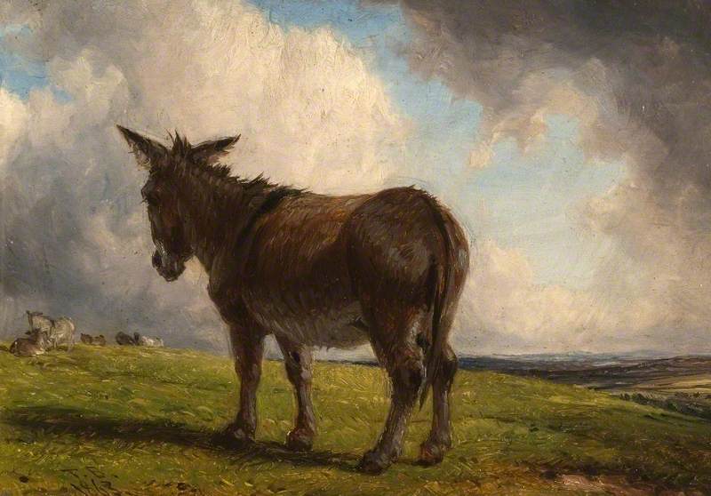 A Donkey in a Landscape