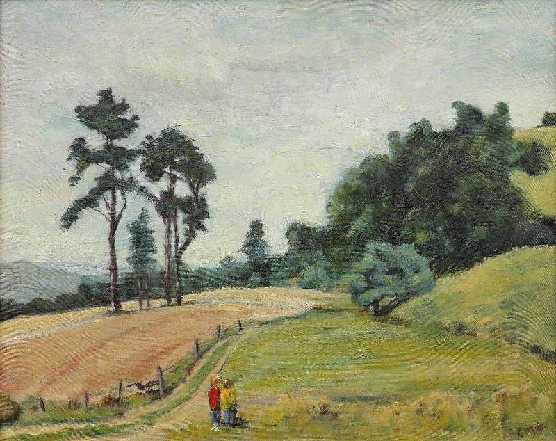 Fields with Figures