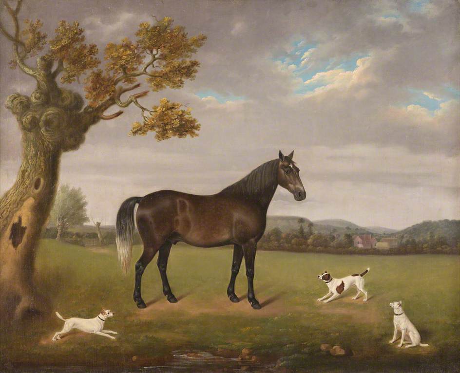 Horse in a Field with Three Dogs