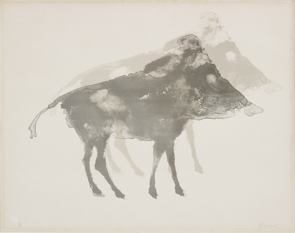Boar
