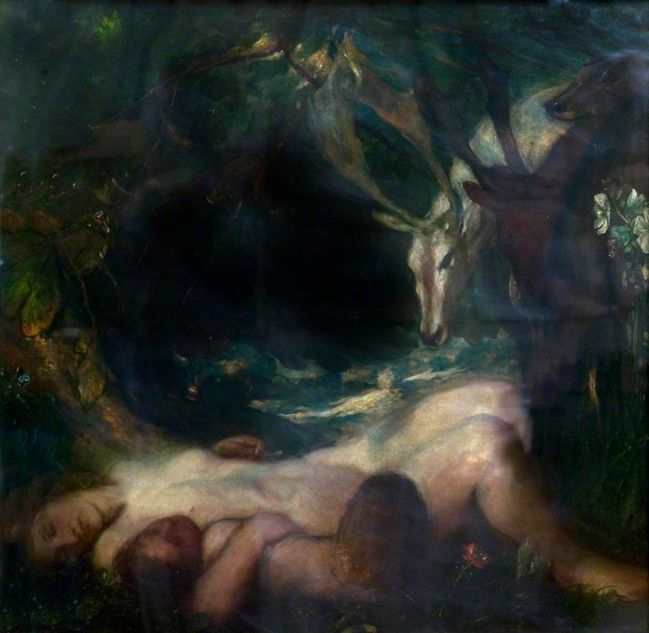 The Wood Nymph