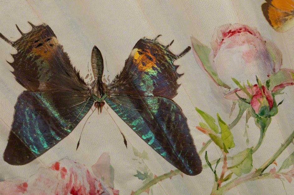 Roses and Butterflies