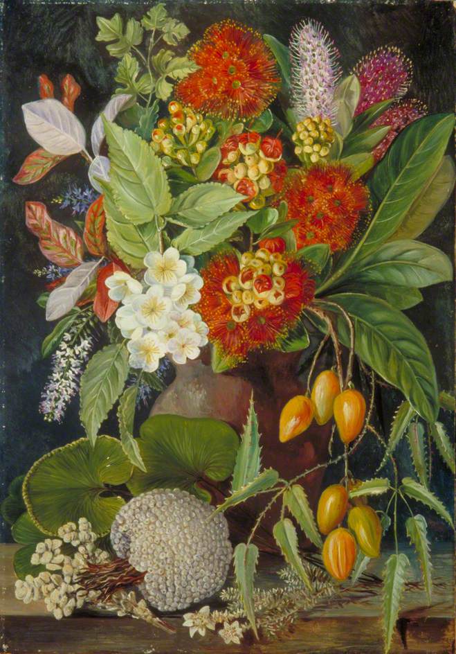 New Zealand Flowers and Fruit | Art UK