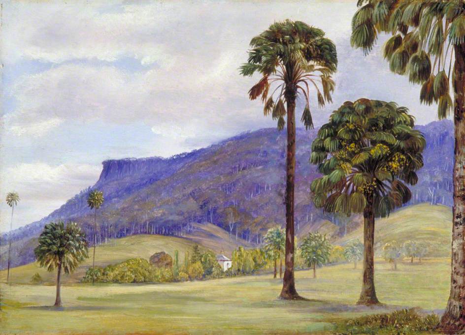 View of Illawarra, New South Wales | Art UK