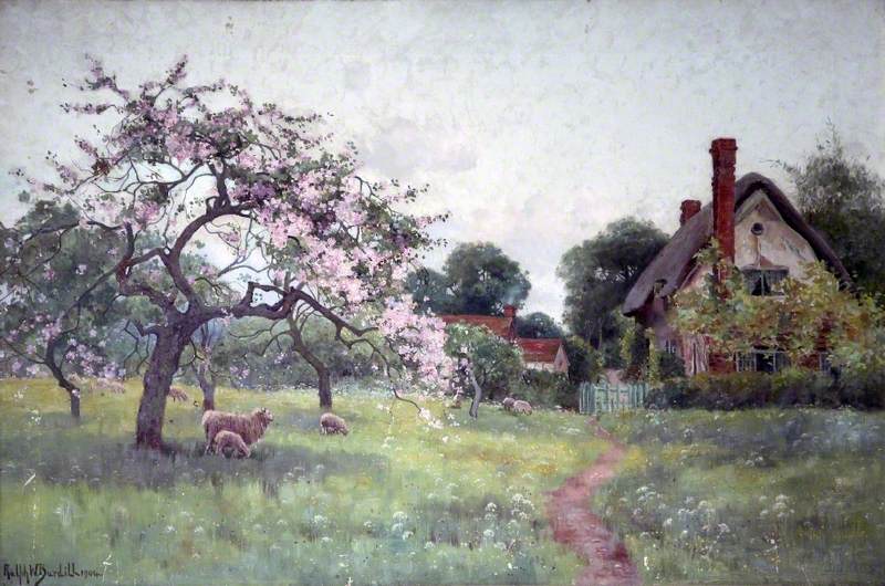 A Gloucestershire Orchard in the Spring