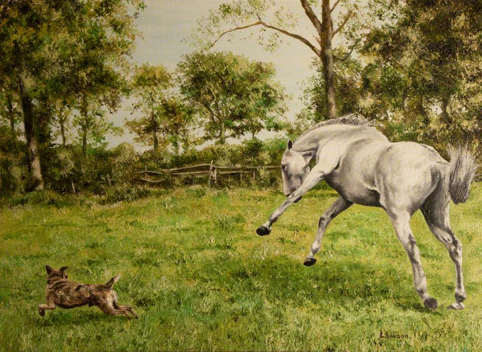 Grey Horse and a Dog in a Field