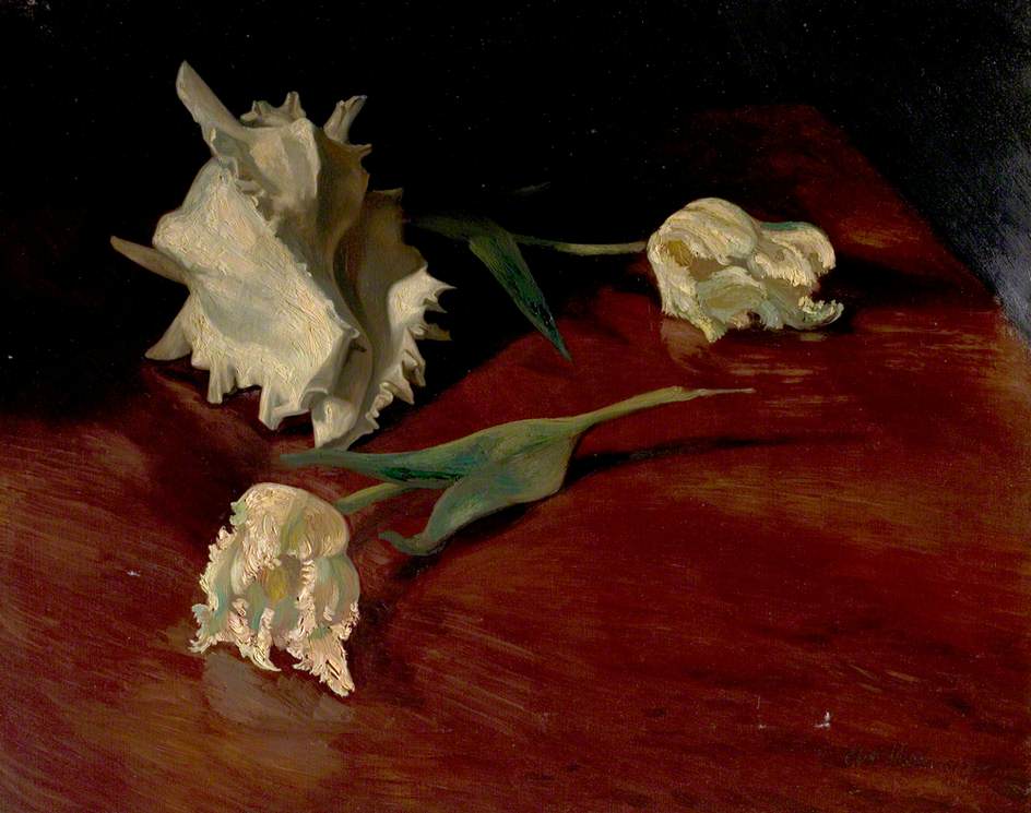A Shell and Flowers