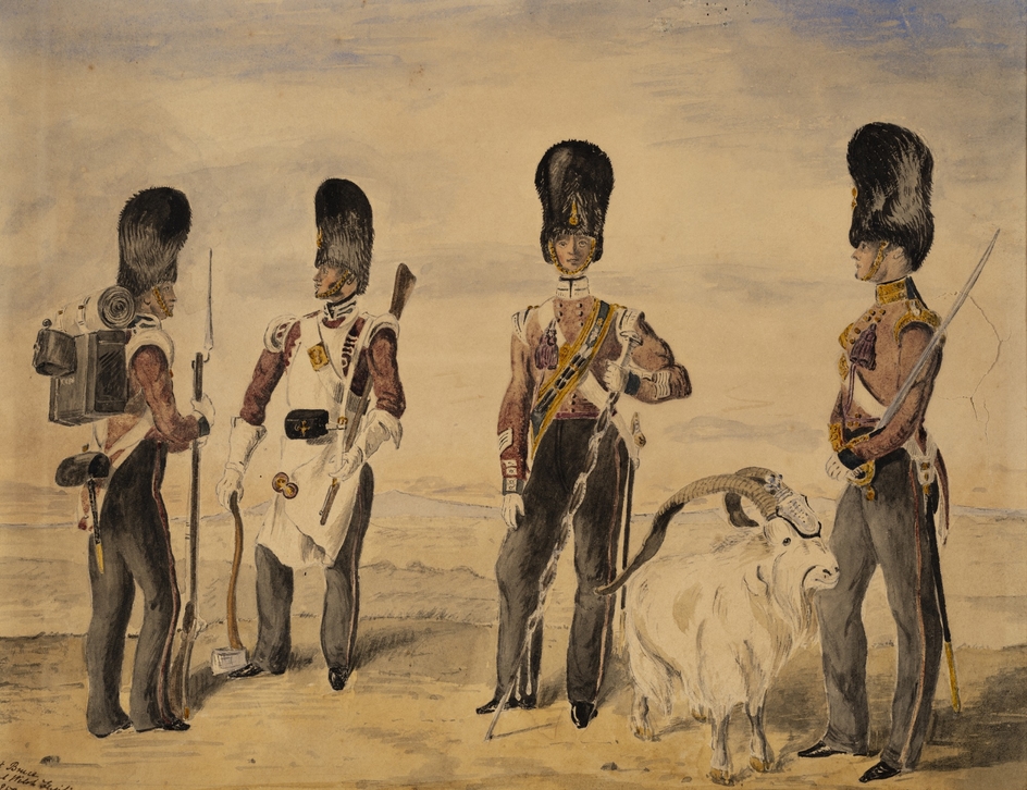 Royal Welch Fusiliers Officers