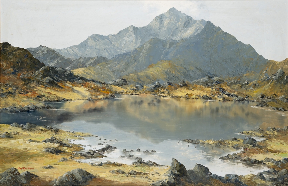 Snowden Landscape