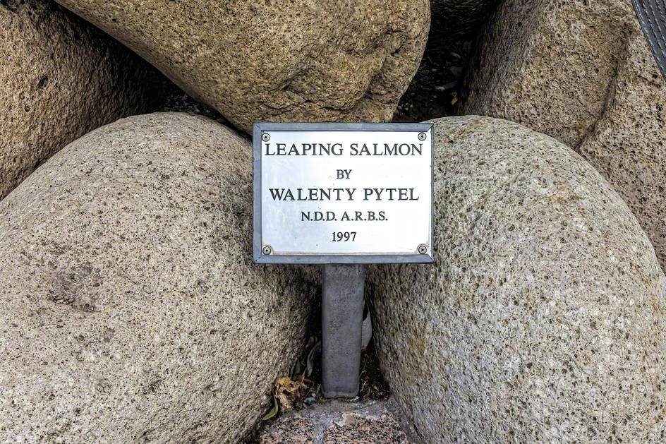 Leaping Salmon
