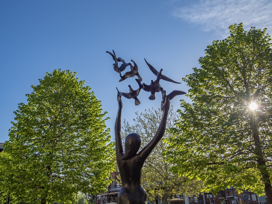 Girl with Doves