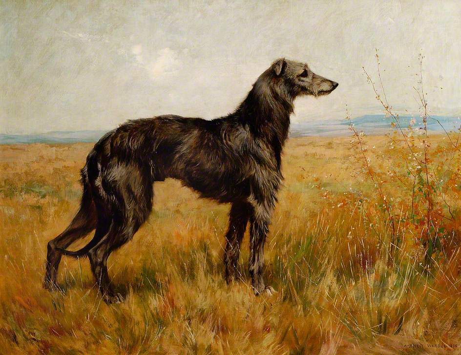 Portrait of a Deerhound, Champion Earl II