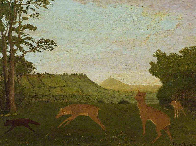 Fallow Deer Chasing off Fox, Cockmill, Pilton