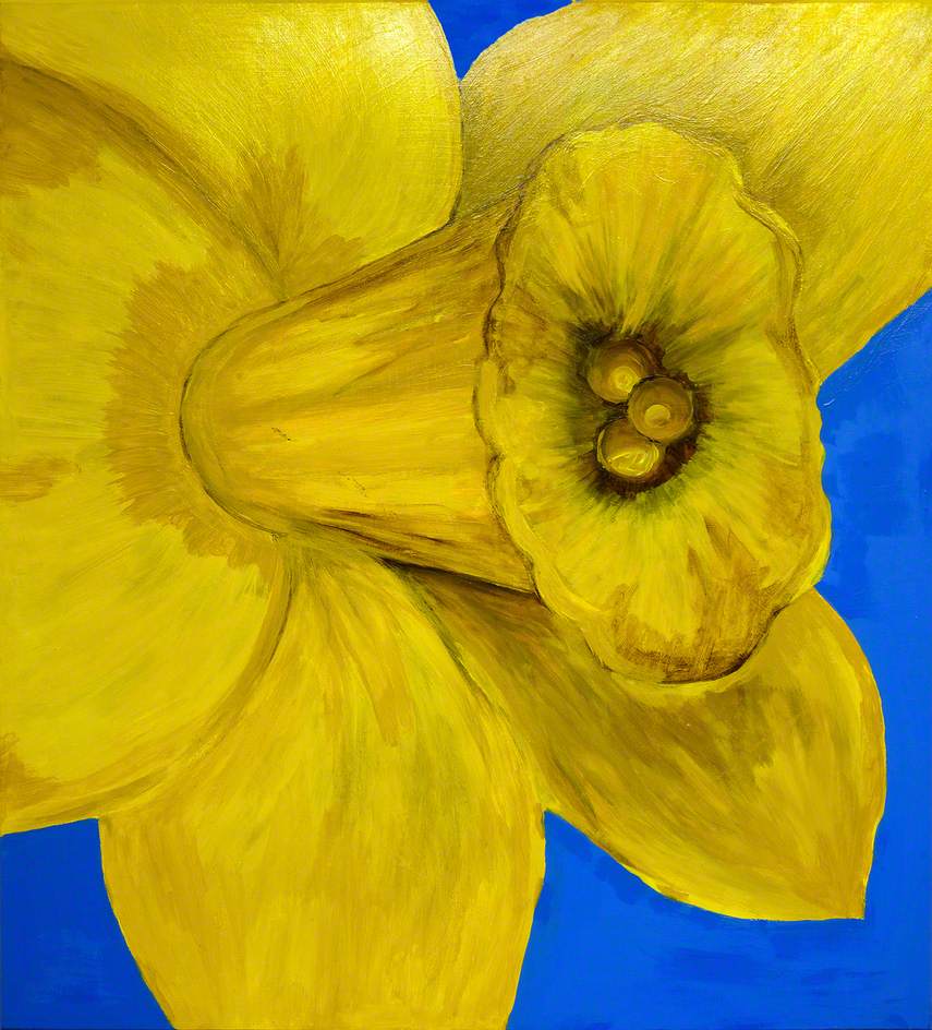 Daffodil