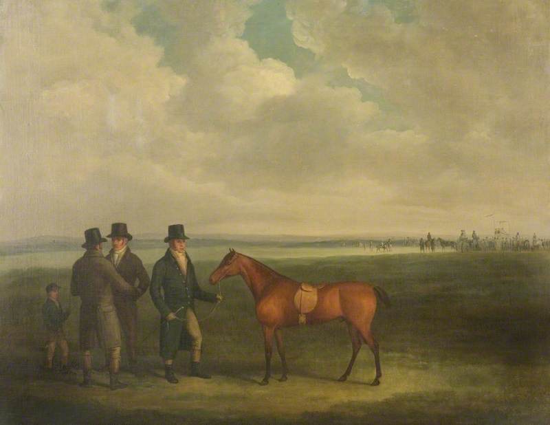 Racehorse with Trainers