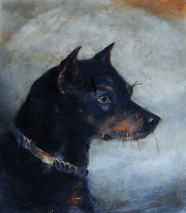 A Black Dog