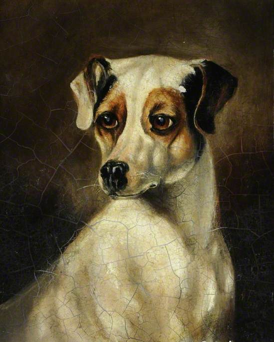 White Dog with Brown Markings