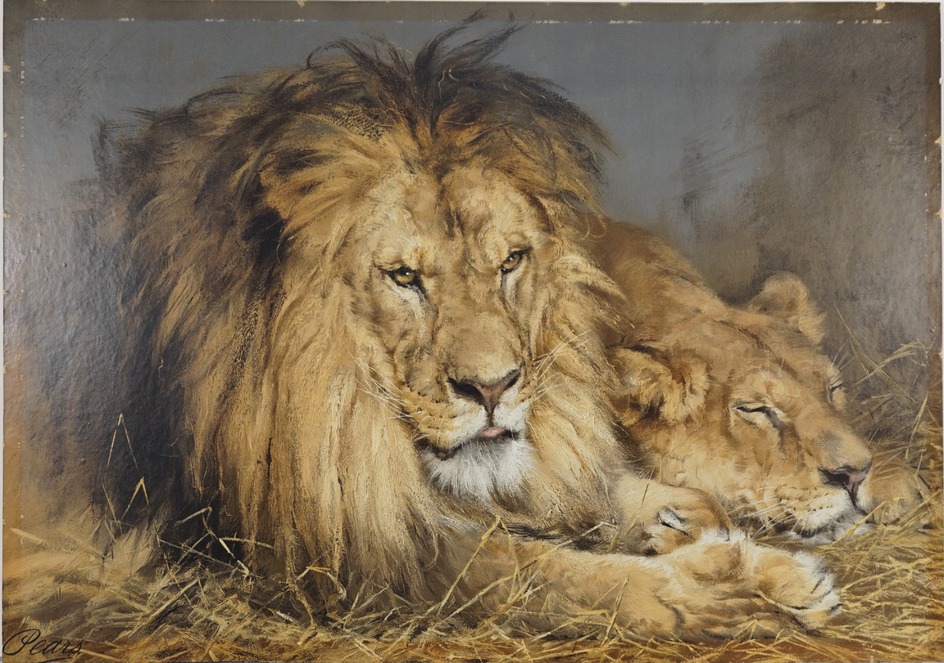 Two Lions