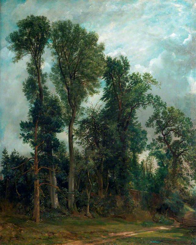 Trees at Hampstead: The Path to Church