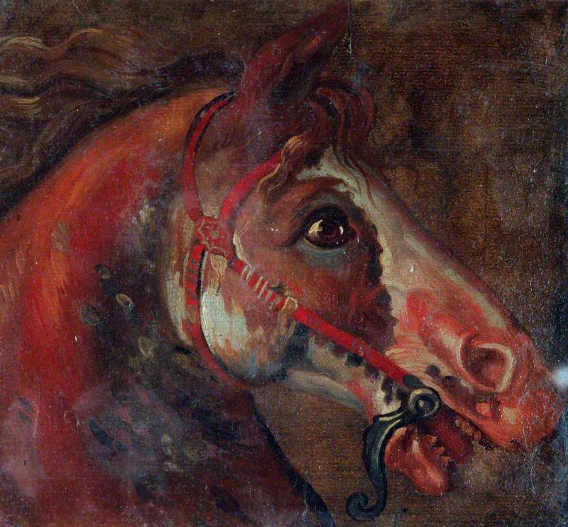 Study of a Horse's Head