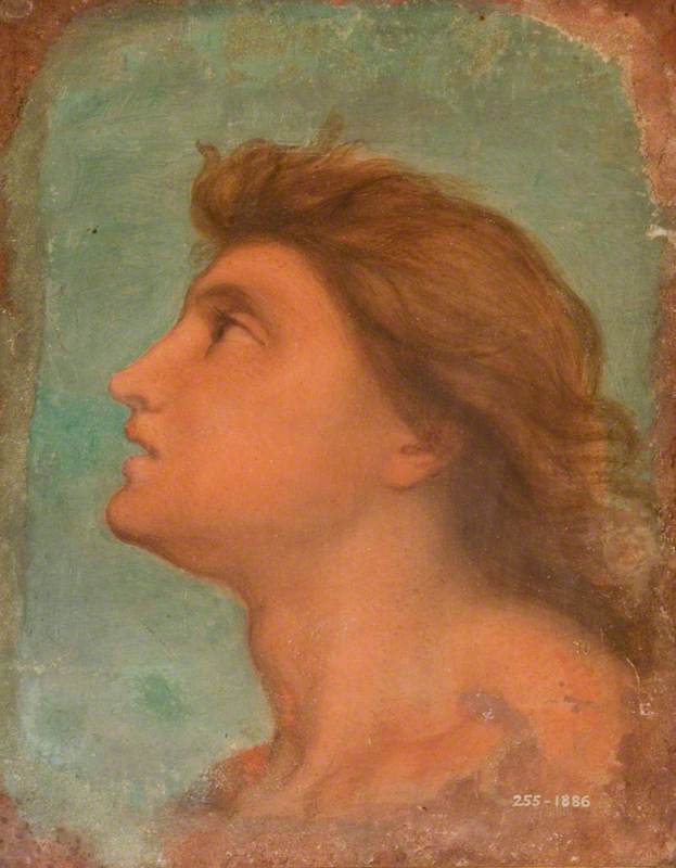 Head of a Youth in Profile