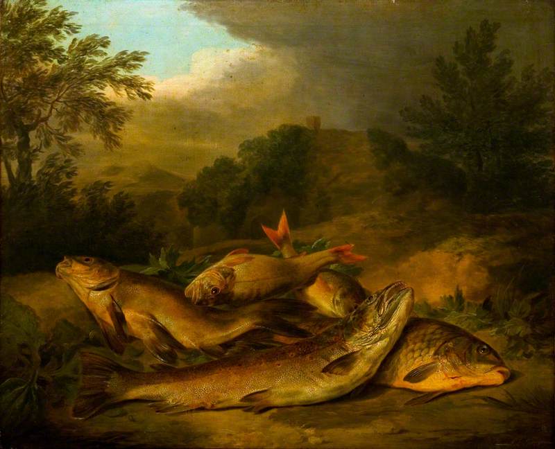 A Group of Fish Lying on the Ground
