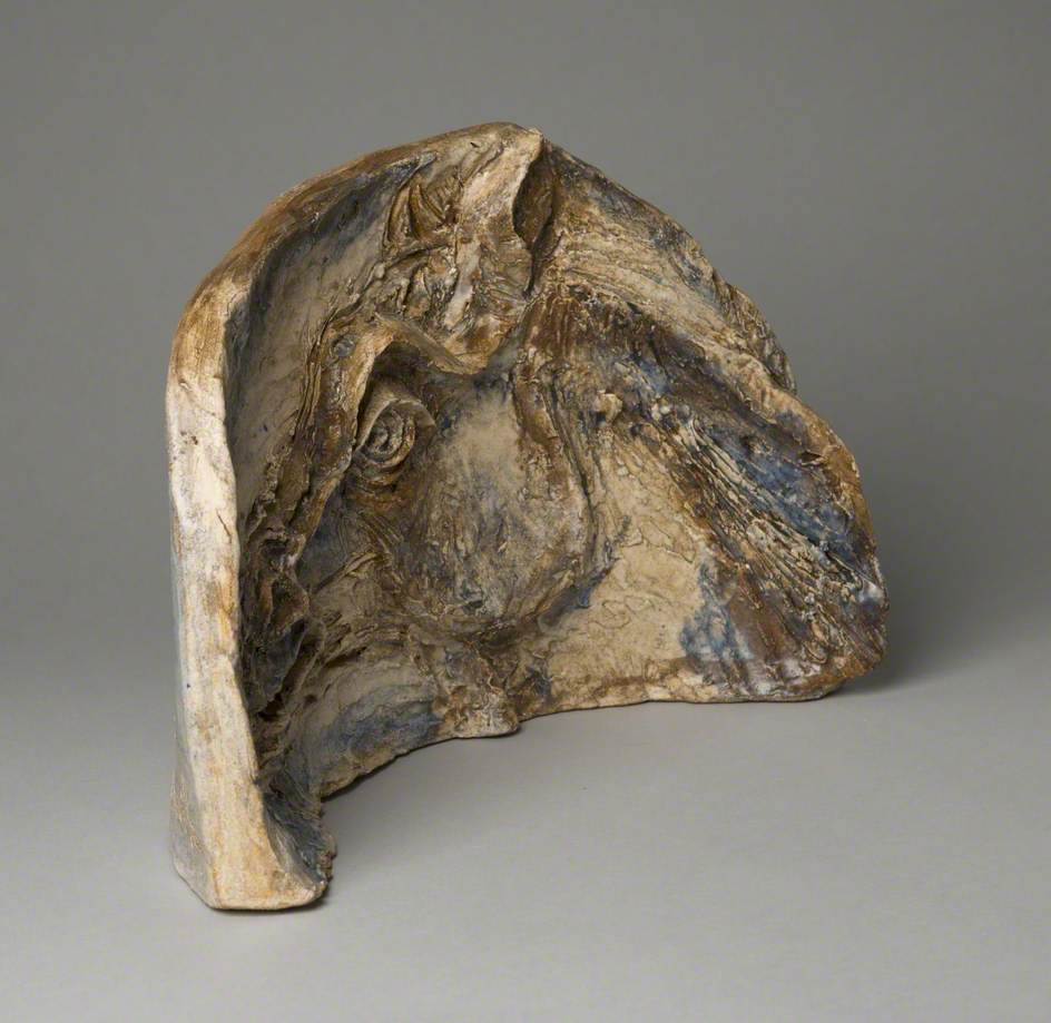 Horse's Head