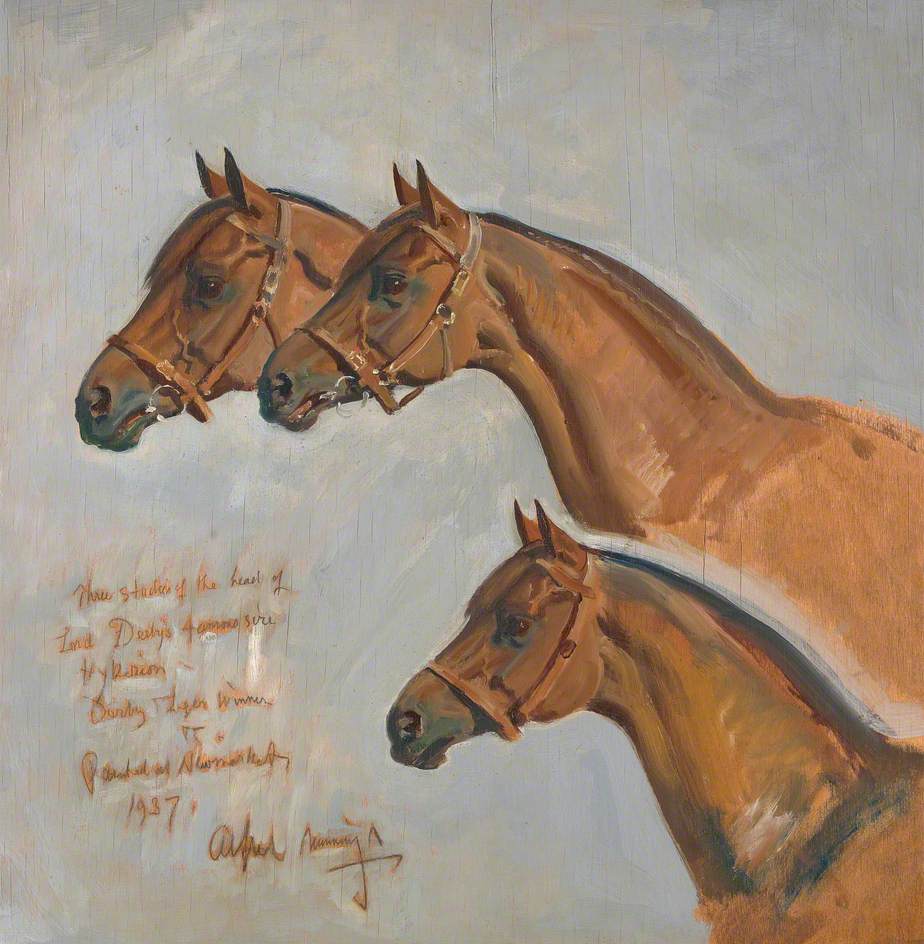 Three Studies of the Head of Hyperion, Derby and Leger Winner, Newmarket